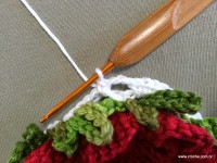 Caminho de mesa passo a passo - www.croche.com (11)
