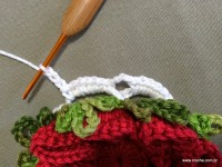 Caminho de mesa passo a passo - www.croche.com (12)