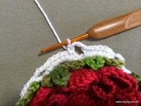 Caminho de mesa passo a passo - www.croche.com (13)