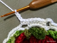 Caminho de mesa passo a passo - www.croche.com (15)