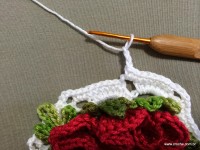 Caminho de mesa passo a passo - www.croche.com (16)