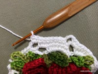 Caminho de mesa passo a passo - www.croche.com (17)