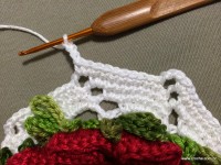 Caminho de mesa passo a passo - www.croche.com (18)
