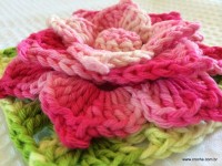 Flor-2BRosa-2BMariana-2Bpasso-2Ba-2Bpasso-2B-2Bwww.croche.com-2B-1-1