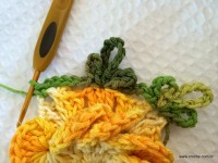 Flor-2Bcrista-2Bde-2Bgalo-2B-2Bwww.croche.com-2B-37--200x150