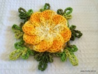 Flor-2Bcrista-2Bde-2Bgalo-2B-2Bwww.croche.com-2B-39--200x150