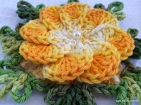 Flor-2Bcrista-2Bde-2Bgalo-2B-2Bwww.croche.com-2B-44-1-200x150