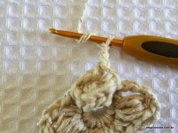Flor-2Bguirlanda-2Bpasso-2Ba-2Bpasso-2B-2Bwww.croche.com-2B-29-