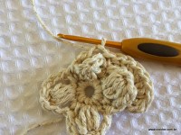 Flor-2Bguirlanda-2Bpasso-2Ba-2Bpasso-2B-2Bwww.croche.com-2B-34-