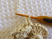 Flor-2Bguirlanda-2Bpasso-2Ba-2Bpasso-2B-2Bwww.croche.com-2B-40-