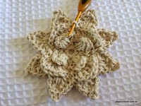 Flor-2Bguirlanda-2Bpasso-2Ba-2Bpasso-2B-2Bwww.croche.com-2B-53-
