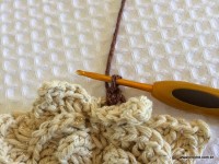 Flor-2Bguirlanda-2Bpasso-2Ba-2Bpasso-2B-2Bwww.croche.com-2B-60-