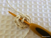 Flor-2Bguirlanda-2Bpasso-2Ba-2Bpasso-2B-2Bwww.croche.com-2B-8-