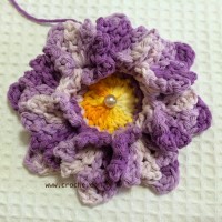 Flor-2Brosa-2Bdos-2Bventos-2B-2Bwww.croche.com-2B-49-