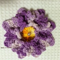 Flor-2Brosa-2Bdos-2Bventos-2B-2Bwww.croche.com-2B-58-