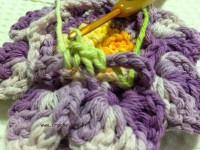 Flor-2Brosa-2Bdos-2Bventos-2B-2Bwww.croche.com-2B-61-