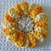 Flor-Margarida-miuda-2-