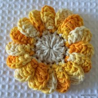 Flor-Margarida-miuda-3-