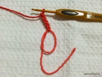 Flor Mexirica passo a passo - www.croche.com (1)