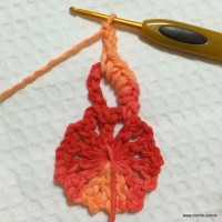 Flor Mexirica passo a passo - www.croche.com (10)
