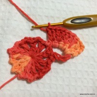 Flor Mexirica passo a passo - www.croche.com (12)