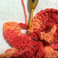 Flor Mexirica passo a passo - www.croche.com (17)