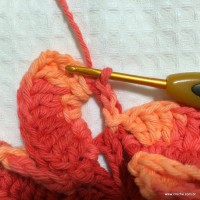 Flor Mexirica passo a passo - www.croche.com (18)