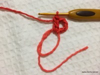 Flor Mexirica passo a passo - www.croche.com (2)