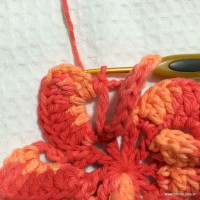 Flor Mexirica passo a passo - www.croche.com (20)