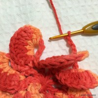 Flor Mexirica passo a passo - www.croche.com (21)