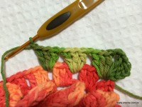 Flor Mexirica passo a passo - www.croche.com (27)