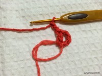 Flor Mexirica passo a passo - www.croche.com (3)