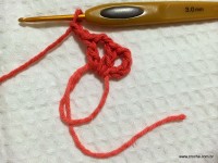 Flor Mexirica passo a passo - www.croche.com (4)