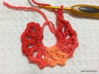 Flor Mexirica passo a passo - www.croche.com (5)