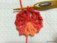 Flor Mexirica passo a passo - www.croche.com (6)