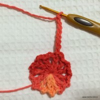 Flor Mexirica passo a passo - www.croche.com (7)