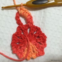 Flor Mexirica passo a passo - www.croche.com (9)