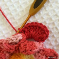 Flor Natty passo a passo (23)