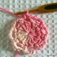 Flor Rosa Mariana passo a passo - www.croche.com (10)
