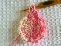 Flor Rosa Mariana passo a passo - www.croche.com (15)