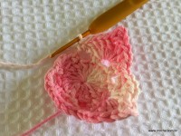 Flor Rosa Mariana passo a passo - www.croche.com (20)