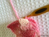 Flor Rosa Mariana passo a passo - www.croche.com (27)