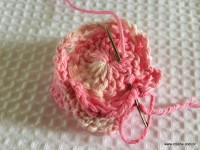 Flor Rosa Mariana passo a passo - www.croche.com (28)