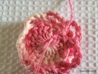 Flor Rosa Mariana passo a passo - www.croche.com (29)