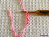 Flor Rosa Mariana passo a passo - www.croche.com (33)