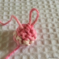 Flor Rosa Mariana passo a passo - www.croche.com (37)