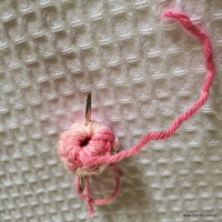 Flor Rosa Mariana passo a passo - www.croche.com (39)