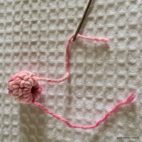 Flor Rosa Mariana passo a passo - www.croche.com (40)