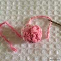 Flor Rosa Mariana passo a passo - www.croche.com (41)