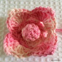 Flor Rosa Mariana passo a passo - www.croche.com (43)